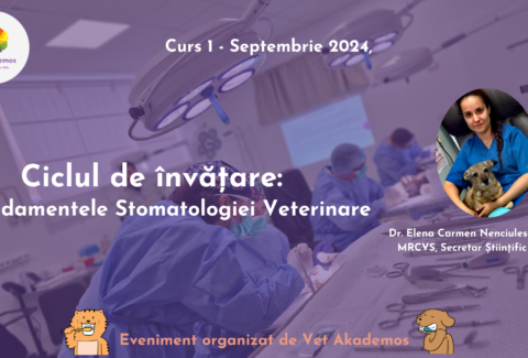 Copy of Dr. Elena Carmen Nenciulescu - DVM, MRCVS, Secretar Științific al Societății Române de Chirurgie Oro-facială și Stomatologie Veterinară (RSVD)